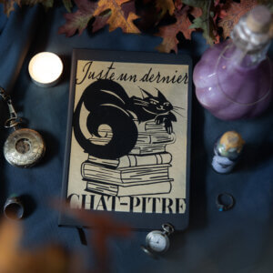 carre_papeteriee_carnet_chatpitre